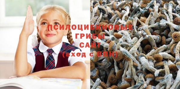 кокаин премиум Новозыбков