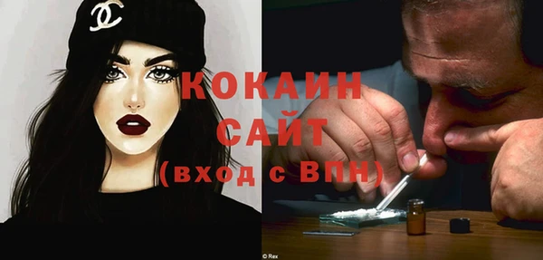 стаф Нея
