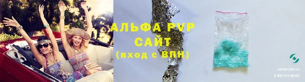 стаф Нея