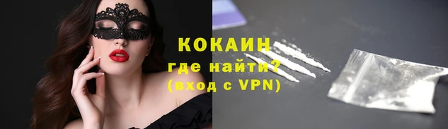 стаф Нея