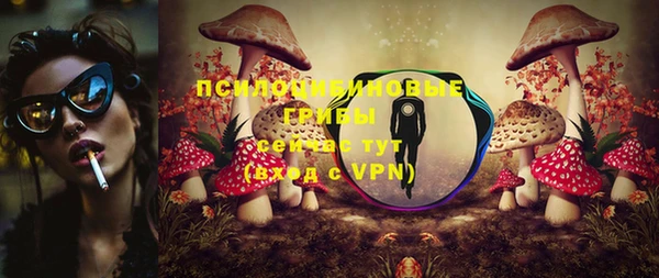 стаф Нея