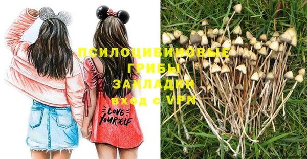 трава Нефтекумск