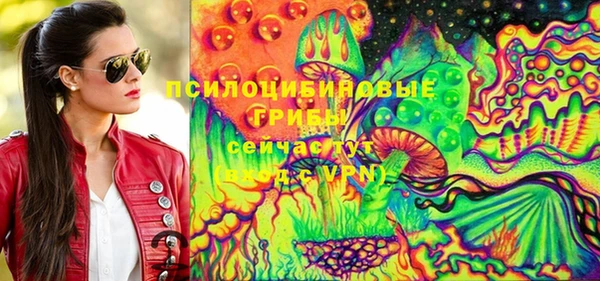 дурь Новокубанск