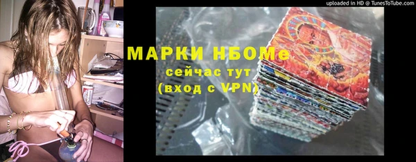 стаф Нея