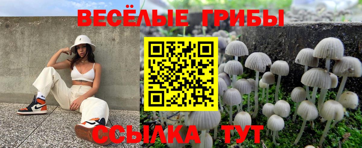 Псилоцибиновые грибы Magic Shrooms Североморск